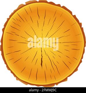 Baumringe sägen geschnittenen Baumstamm Hintergrund auf weißem Hintergrund. Stock Vektor