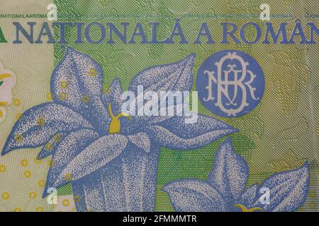 Fragment der Banknote 10000 rumänischer lei, Serie 1999 - Polymer, für Designzwecke Stockfoto