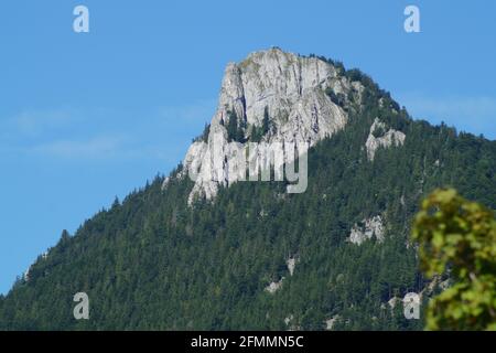Nahaufnahme eines hohen Felsens, der von Wald umgeben ist Stockfoto