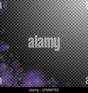 Violette Blütenblätter fallen herunter. Ausgezeichnete romantische Blumenecke. Fliegendes Blütenblatt auf transparentem quadratischem Hintergrund. Liebe, Romantik Konzept. Bewunderungswert Stock Vektor