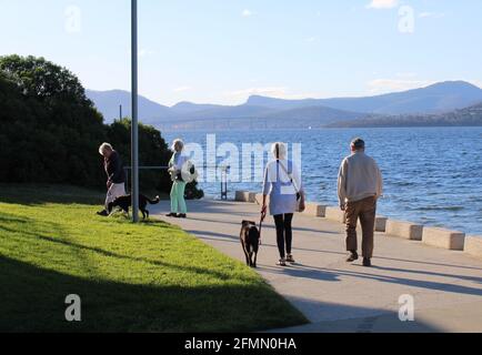 Seniorenleben, Alltag in Australien, Spaziergänger mit Hunden in Sandy Bay, Hobart, Tasmanien. Stockfoto