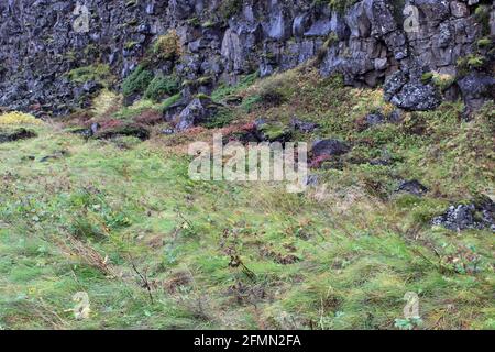 Island Country Side Stockfoto