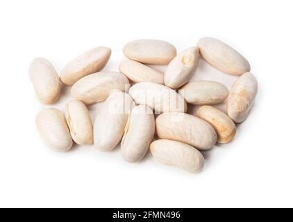 Stapel von Harizotensamen für die Pflanzung in Gartenböden. Buschbohnen oder Stabbohnen auch als Golden Wax Beans, Navy Beans oder White Pea Bean bekannt. Selektiver Fokus Stockfoto