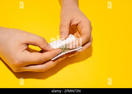 Mann rollt trockenes pflanzliches Marihuana raucht auf hellgelben Hintergrund Stockfoto