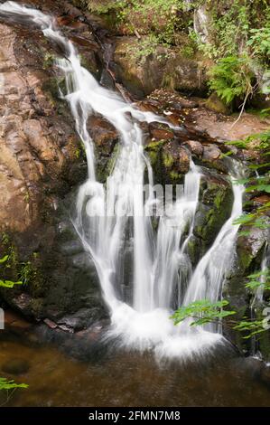 Saut du Bouchot Wasserfall (28 m), Vogesen (88), Grand Est Region, Frankreich Stockfoto