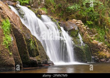 Saut du Bouchot Wasserfall (28 m), Vogesen (88), Grand Est Region, Frankreich Stockfoto