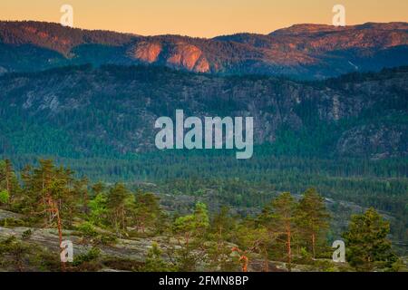 Frühmorgendliches Licht auf die wunderschöne Landschaft von Måfjell in Nissedal, Telemark, Norwegen, Skandinavien. Stockfoto