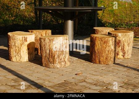 Abgesägte Baumstämme als Stühle an einem Grillplatz in Der Park Stockfoto