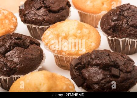 Schokoladen-Muffins mit Schokoladenstückchen und Zitronenmuffins mit Zuckerkristallen auf weißem Hintergrund. Teatime-Genuss. Stockfoto