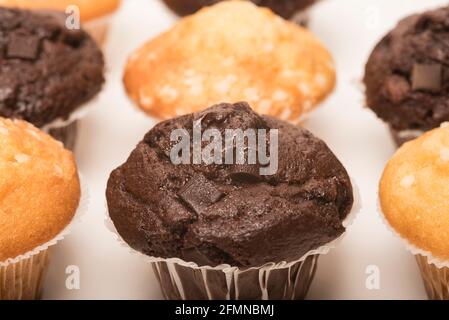 Schokoladen-Muffins mit Schokoladenstückchen und Zitronenmuffins mit Zuckerkristallen auf weißem Hintergrund. Teatime-Genuss. Stockfoto