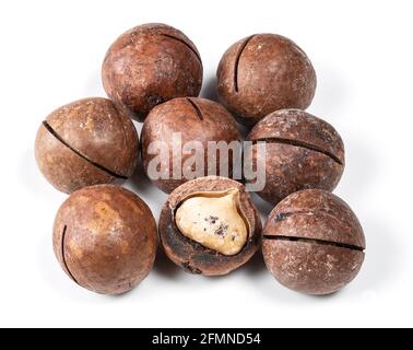 Mehrere Macadamianüsse auf weißem Hintergrund Stockfoto