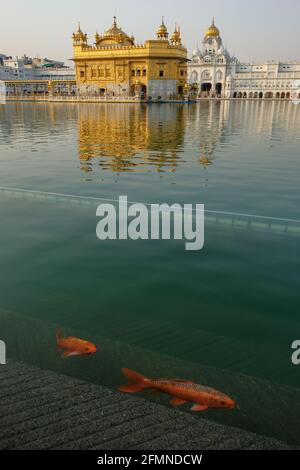 Amritsar, Indien - 2021. April: Pilger besuchen den Goldenen Tempel in Amritsar am 28. April 2021 in Amritsar, Punjab, Indien. Stockfoto