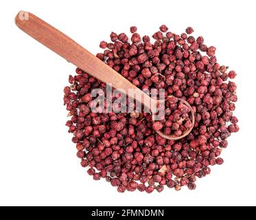 Draufsicht auf Holzlöffel auf Haufen getrockneter Magnolien Beeren (Schisandra Chinensis Samen) auf weißem Hintergrund Stockfoto