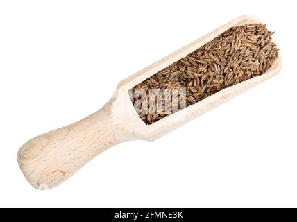 Draufsicht auf Kümmel Früchte in Holz Schaufel Ausschnitt auf Weißer Hintergrund Stockfoto