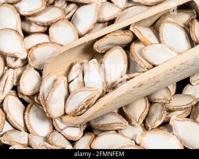 Holzlöffel auf Stapel von ungeschälten Kürbiskernen in Nahaufnahme Stockfoto