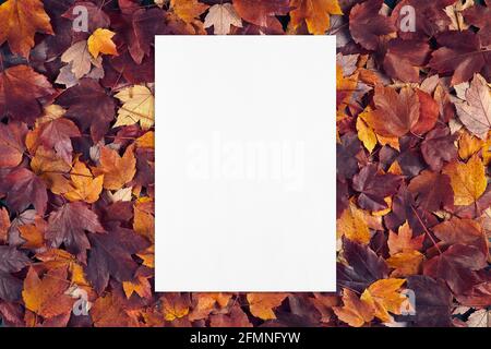 Leere weiße Karte Mockup auf Herbst Blätter Textur Hintergrund. Stockfoto