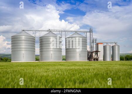 Landwirtschaftssilo mit Weizen im Vordergrund - Lagerung und Trocknung von Getreide, Weizen, Mais, Soja, Sonnenblumen gegen den blauen Himmel mit weißen Wolken Stockfoto