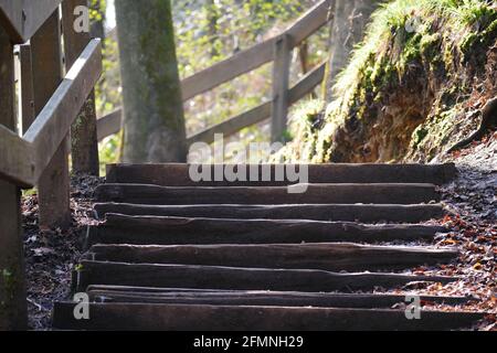 Nahaufnahme einer Holztreppe als Teil eines Wanderweges durch den Frühlingswald Stockfoto