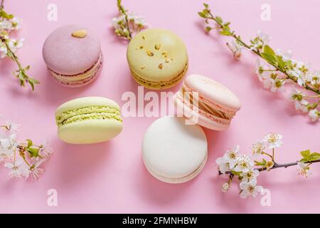 Französische Dessert-Macarons und Frühlingsbaumblüten Stockfoto