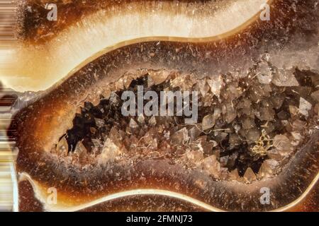 Ammonitversteinerung pyritisiert, 150 Millionen Jahre alt, Bayern Stockfoto