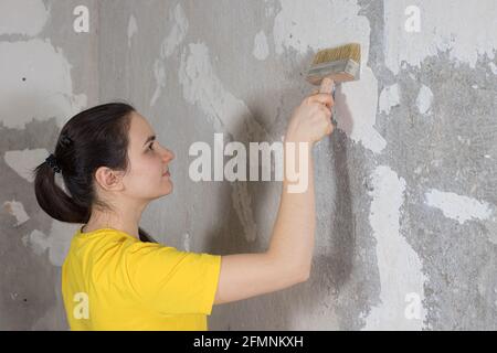 Eine Reparaturfrau legt Tapetenkleber an die Wand. Die Tapete im Haus und reparieren mit eigenen Händen selbst. Stockfoto