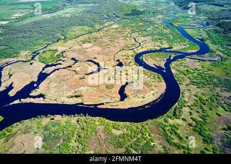 Luftaufnahme des Flutplans und des grünen Waldes am Sommertag. Blick aus der Vogelperspektive auf die wunderschöne Naturlandschaft Stockfoto