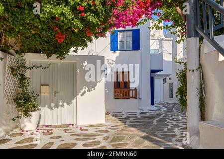 Schöne traditionelle Straßen der griechischen Inselstädte. Weiß getünchte Häuser, üppige blühende Bougainvillea, gepflasterter Bürgersteig. Mykonos, Griechenland Stockfoto