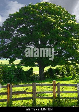 Englisch Hedgerow. Eines der zweiundvierzig ikonischen Bilder von englischen Gartenblumen, Wildblumen und ländlichen Landschaften. Stockfoto