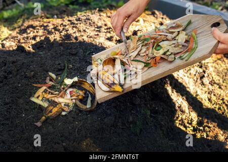 Werfen von Essensresten in Gartenkompost Haufen. Recycling von organischen Küchenabfällen Stockfoto