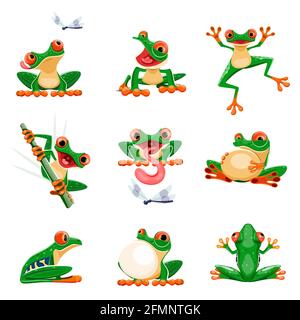 Lustige Frösche in verschiedenen Posen. Amphibien quakeln, springen, jagen, fliegen fangen, lächeln. Exotischer tropischer Rotäugiger Baumfrosch. Wildtiere Tier Cartoon-Vektor-Set. Entzückende helle Kreatur Stock Vektor