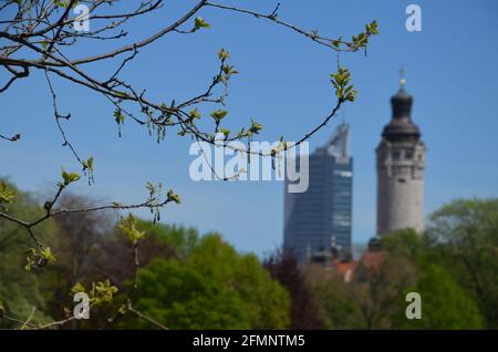 Bäume im Clara- Zetkin- Park Leipzig mit der Skyline in Hintergrund Stockfoto