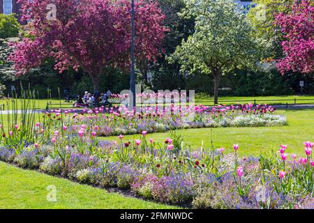 Bournemouth, Dorset, Großbritannien. Mai 2021. Wetter in Großbritannien: Warm und sonnig mit einer leichten Brise in Bournemouth - Bournemouth Gardens Schauen Sie in der Sonne atemberaubend mit Blumen und Blüten, die sich in der Sonne öffnen Kredit: Carolyn Jenkins/Alamy Live News Stockfoto