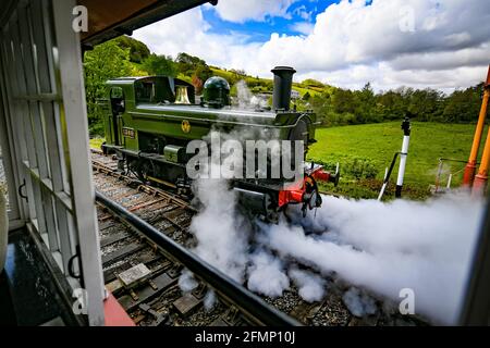 Great Western Pannier Tank 1336 Klasse No. 1369, gebaut 1933, angetrieben von Andy Letts, wird mit voller Kraft in den Bahnhof der dampfbetriebenen South Devon Railway (SDR) in Buckfastleigh, South Devon, wo Mitarbeiter, Fahrer und Ingenieure überprüfen die Ausrüstung, während sie die Attraktion vorbereiten, um sich für die Wiedereröffnung für die Öffentlichkeit am Montag, den 17. Mai vorzubereiten, bevor die Sperrbeschränkungen in England weiter gelockert werden. Bilddatum: Dienstag, 11. Mai 2021. Stockfoto