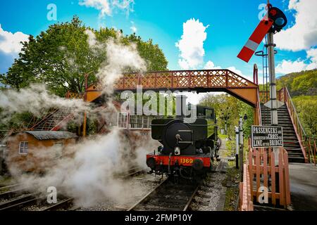 Great Western Pannier Tank 1336 Klasse No. 1369, gebaut 1933, angetrieben von Andy Letts, wird mit voller Kraft in den Bahnhof der dampfbetriebenen South Devon Railway (SDR) in Buckfastleigh, South Devon, wo Mitarbeiter, Fahrer und Ingenieure überprüfen die Ausrüstung, während sie die Attraktion vorbereiten, um sich für die Wiedereröffnung für die Öffentlichkeit am Montag, den 17. Mai vorzubereiten, bevor die Sperrbeschränkungen in England weiter gelockert werden. Bilddatum: Dienstag, 11. Mai 2021. Stockfoto