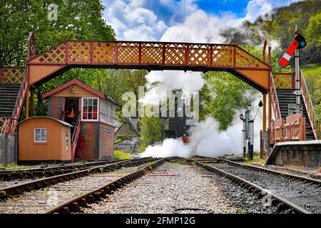 Great Western Pannier Tank 1336 Klasse No. 1369, gebaut 1933, angetrieben von Andy Letts, wird mit voller Kraft in den Bahnhof der dampfbetriebenen South Devon Railway (SDR) in Buckfastleigh, South Devon, wo Mitarbeiter, Fahrer und Ingenieure überprüfen die Ausrüstung, während sie die Attraktion vorbereiten, um sich für die Wiedereröffnung für die Öffentlichkeit am Montag, den 17. Mai vorzubereiten, bevor die Sperrbeschränkungen in England weiter gelockert werden. Bilddatum: Dienstag, 11. Mai 2021. Stockfoto