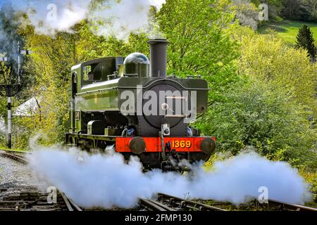 Great Western Pannier Tank 1336 Klasse No. 1369, gebaut 1933, angetrieben von Andy Letts, wird mit voller Kraft in den Bahnhof der dampfbetriebenen South Devon Railway (SDR) in Buckfastleigh, South Devon, wo Mitarbeiter, Fahrer und Ingenieure überprüfen die Ausrüstung, während sie die Attraktion vorbereiten, um sich für die Wiedereröffnung für die Öffentlichkeit am Montag, den 17. Mai vorzubereiten, bevor die Sperrbeschränkungen in England weiter gelockert werden. Bilddatum: Dienstag, 11. Mai 2021. Stockfoto
