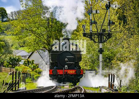Great Western Pannier Tank 1336 Klasse No. 1369, gebaut 1933, angetrieben von Andy Letts, wird mit voller Kraft in den Bahnhof der dampfbetriebenen South Devon Railway (SDR) in Buckfastleigh, South Devon, wo Mitarbeiter, Fahrer und Ingenieure überprüfen die Ausrüstung, während sie die Attraktion vorbereiten, um sich für die Wiedereröffnung für die Öffentlichkeit am Montag, den 17. Mai vorzubereiten, bevor die Sperrbeschränkungen in England weiter gelockert werden. Bilddatum: Dienstag, 11. Mai 2021. Stockfoto