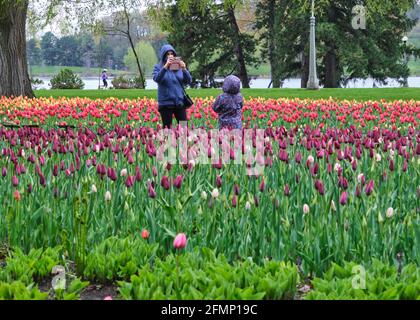 Mutter und Tochter fotografieren im Tulpengarten beim jährlichen Tulpenfestival in Ottawa, kanada 2021 Stockfoto
