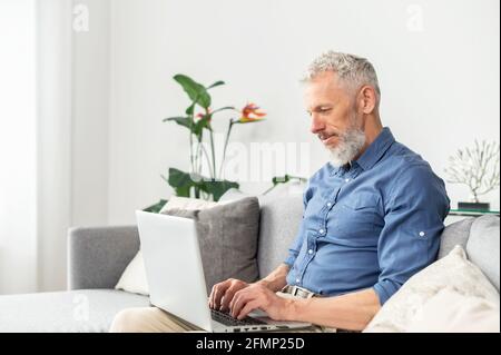 Hipster im mittleren Alter in schickem Casual-Shirt mit Laptop, der zu Hause auf der Couch sitzt, leitender grauhaariger Freiberufler, der schreibt, schreibt, recherchiert und einige Informationen im Netzwerk erforscht Stockfoto