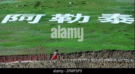 Altay, Chinas Autonome Region Xinjiang Uygur. Mai 2021. Chi Chunxue vom nationalen Skilanglauf-Team tritt während der kostenlosen 10-km-Verfolgungsveranstaltung der Frauen bei der FIS-Skilanglauf-China-Stadttour auf der Sarkobu-Langlaufstrecke, Altay City, nordwestlich der Autonomen Region Xinjiang Uygur in China, am 11. Mai 2021 an. Quelle: Hou Zhaokang/Xinhua/Alamy Live News Stockfoto