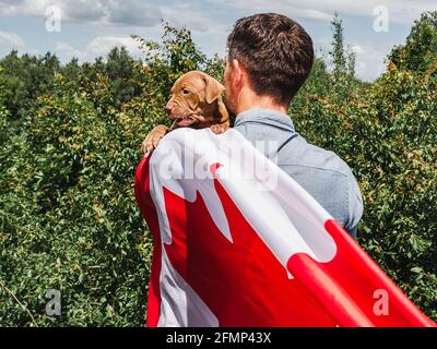 Attraktiver Mann hält einen charmanten Welpen auf einem Hintergrund von blauem Himmel an einem klaren, sonnigen Tag. Im Freien, Nahaufnahme. Nationales Urlaubskonzept Stockfoto