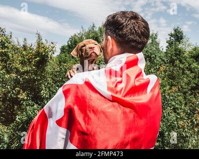 Attraktiver Mann hält einen charmanten Welpen auf einem Hintergrund von blauem Himmel an einem klaren, sonnigen Tag. Im Freien, Nahaufnahme. Nationales Urlaubskonzept Stockfoto