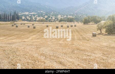 Zypern Sommerlandschaft mit Heuhaufen in einem Feld mit Berge Hintergrund Stockfoto