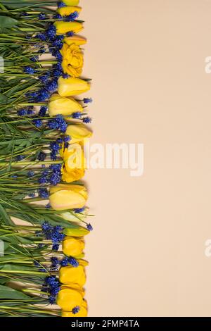 Vertikales Foto von gelben Tulpen auf beigem Hintergrund. Herzlichen Glückwunsch zum Frühlingsfest, 8. März, Hallo Mai, Muttertag. Stockfoto