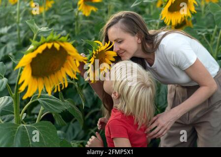 Junge Mutter und kleiner Junge schnüffeln Sonnenblumen. Vertrauensvolle Beziehung zwischen Sohn und Mutter. Stockfoto