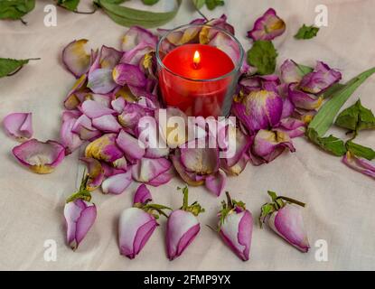 Getrocknete Rosen, Kerze und Buch Stockfoto