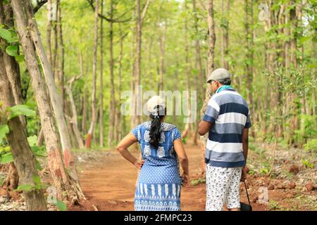 Rückansicht eines Ehepaares mittleren Alters (40-45 Jahre) Über ein Thema diskutieren und sich im Inneren zuschauen Ein Wald Stockfoto