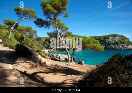 Blick durch die Bäume auf cala Mitjanetta und die Schwimmer In cala mitjana auf menorca spanien Stockfoto