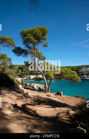 Blick durch die Bäume auf cala Mitjanetta und die Schwimmer In cala mitjana auf menorca spanien Stockfoto