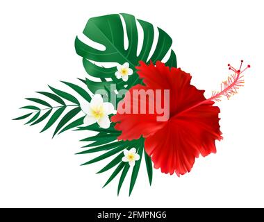 Rote Hibiskusblüte mit isolierten Palmenblättern auf weißem Hintergrund. Vektorgrafik Stock Vektor